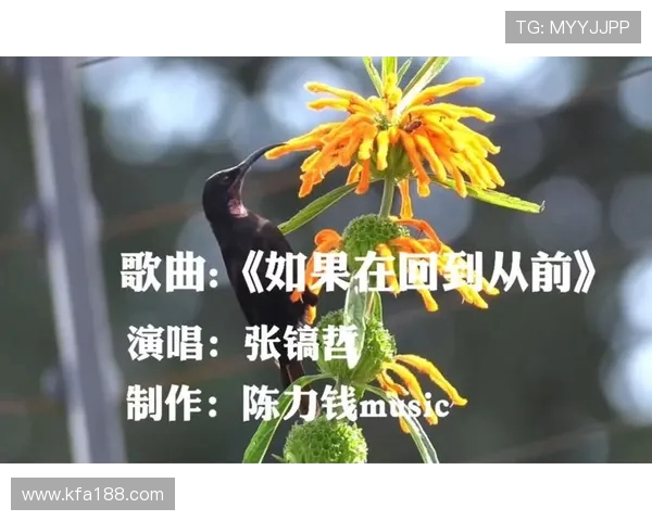 探寻曲波的音乐世界：悦耳旋律与独特魅力